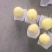 河北赵县雪花梨大量上市规格可选保质保量