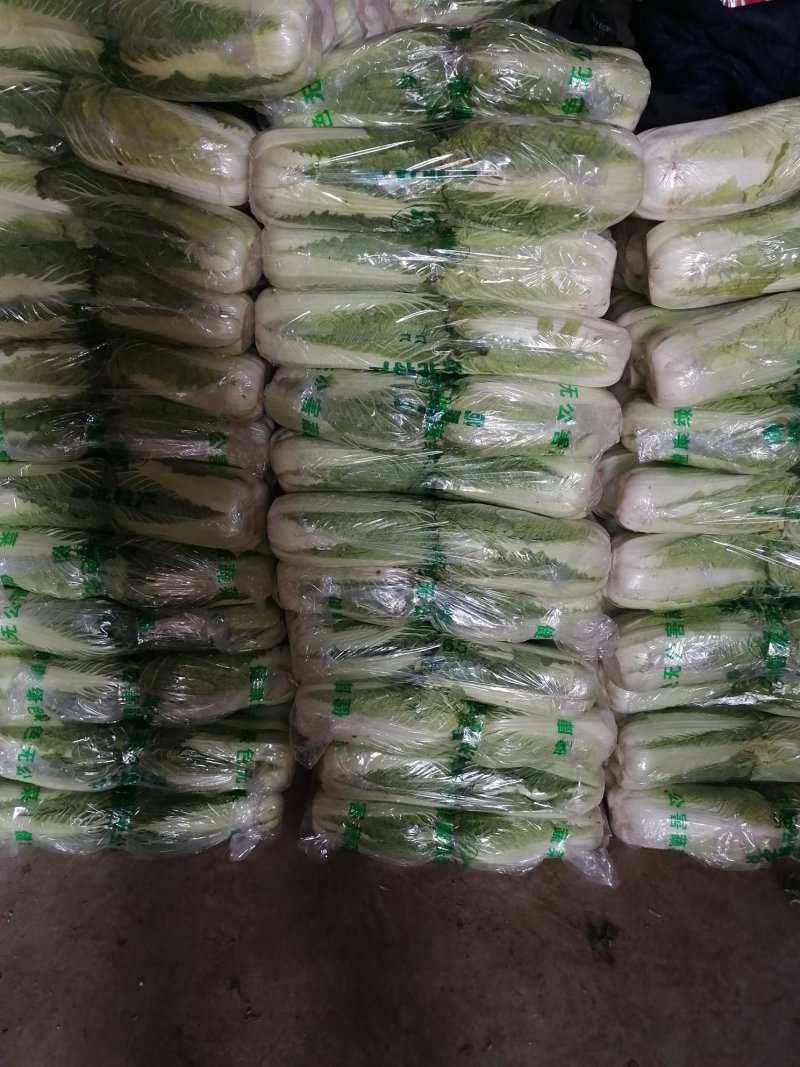 【保证新鲜】北京三号大白菜山东白菜净菜产地直销