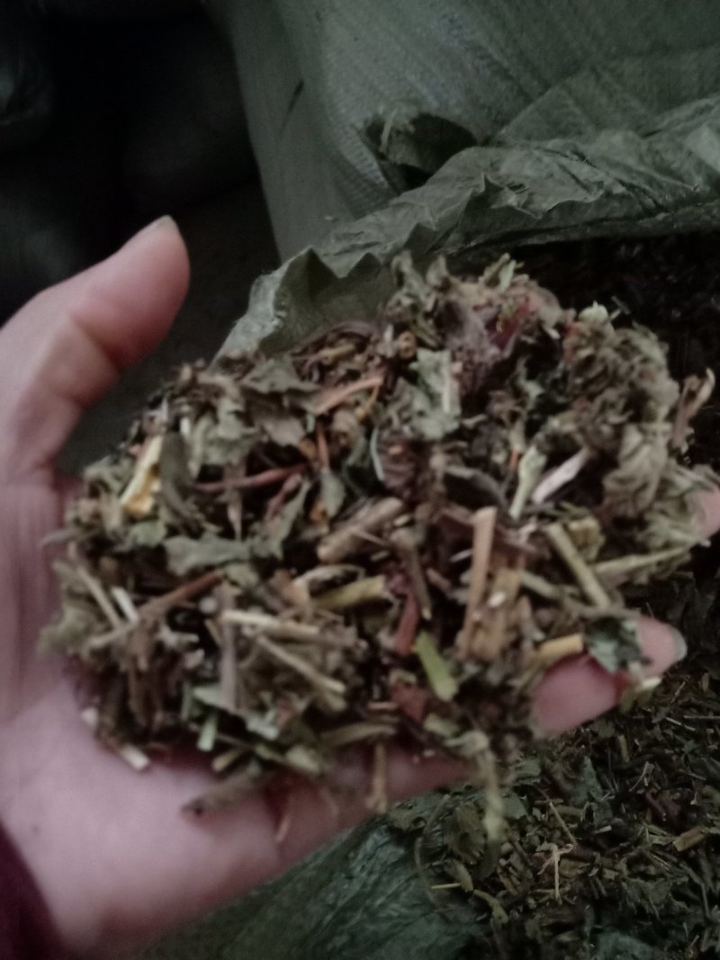 仙鹤草片，野生，深山药村。欢迎下单一手货源！。
