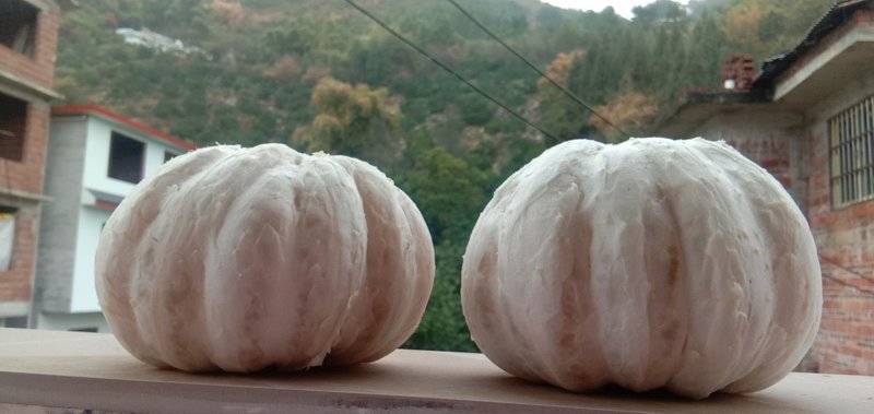 沙田柚厂地货原充足，口感好，肉黄，甜度高交通方便