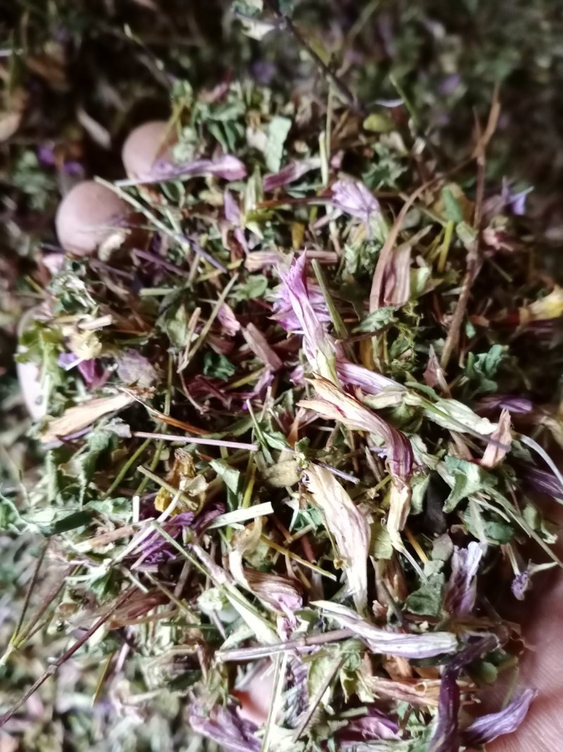 龙胆草，新货批发，紫花红花切断没切均有货一手货源欢迎订购