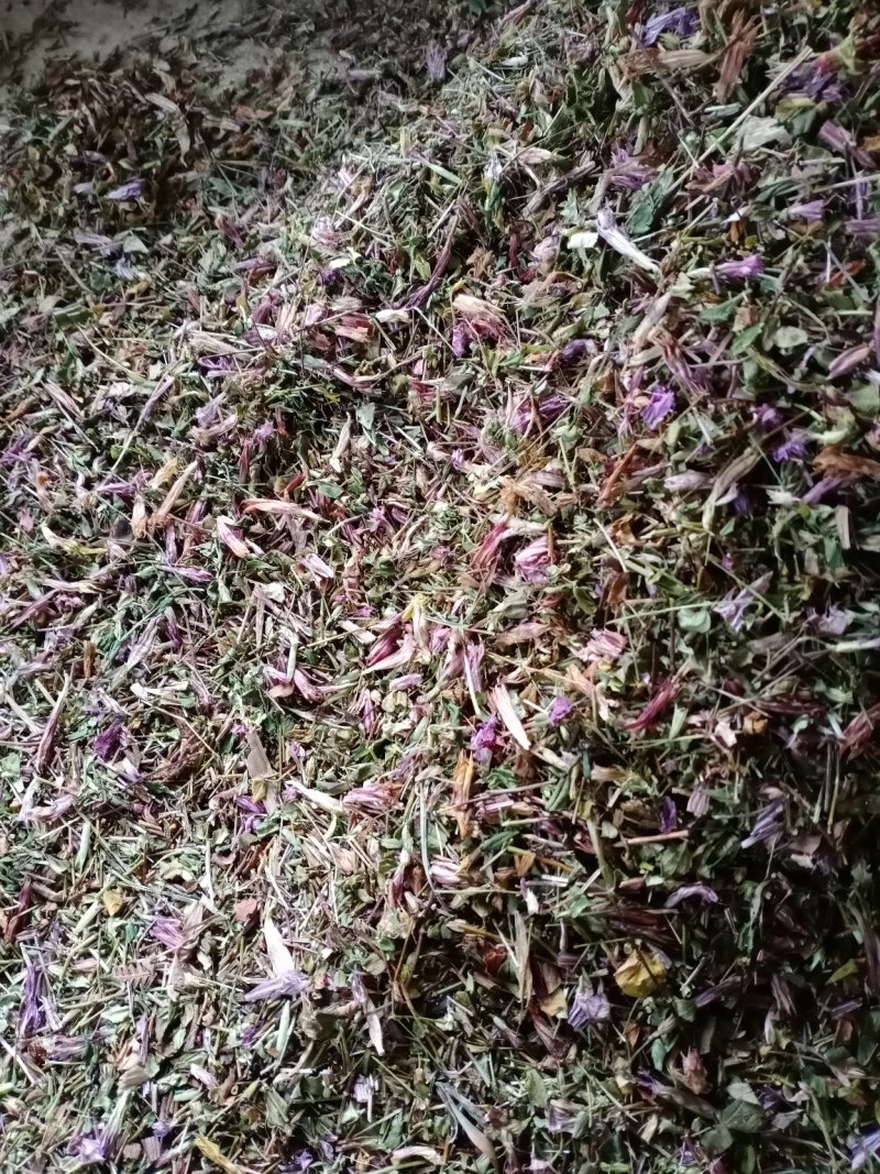 龙胆草，新货批发，紫花红花切断没切均有货一手货源欢迎订购