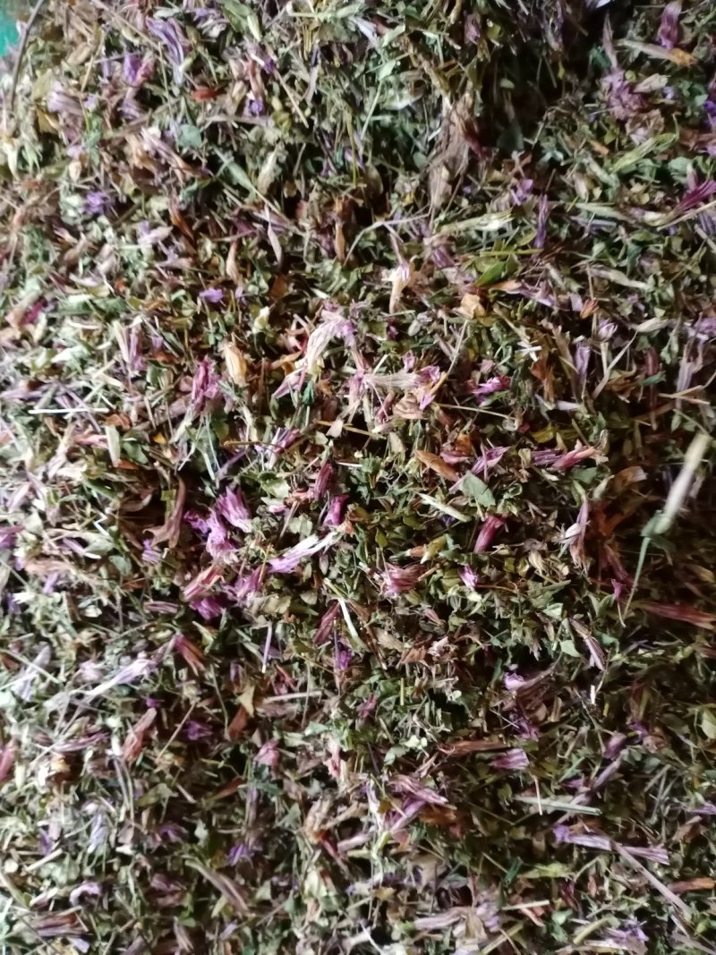 龙胆草，新货批发，紫花红花切断没切均有货一手货源欢迎订购