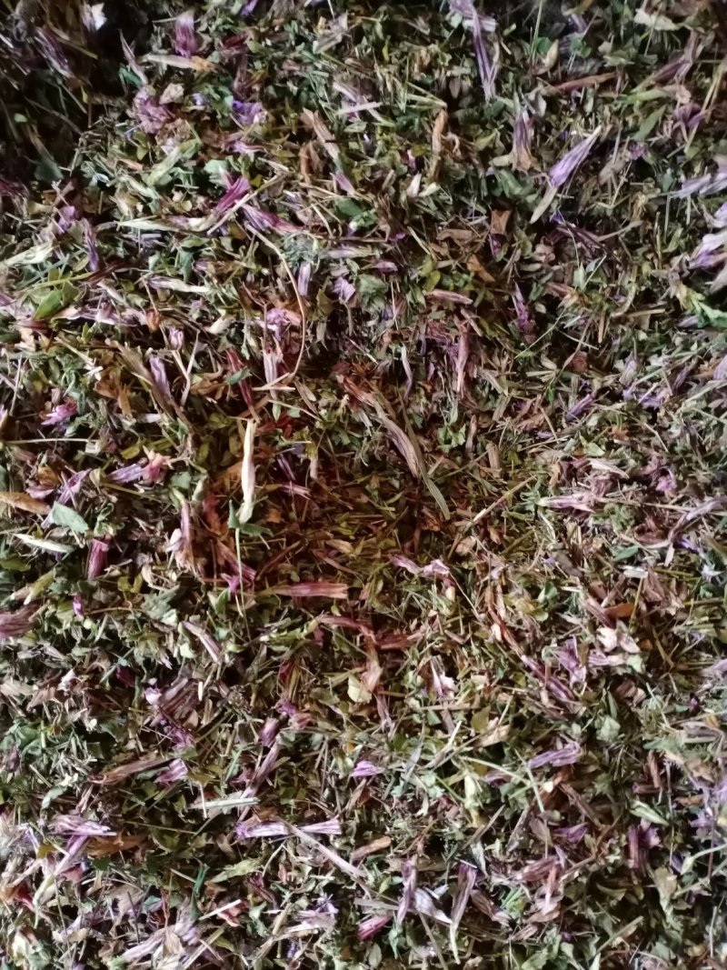 龙胆草，新货批发，紫花红花切断没切均有货一手货源欢迎订购