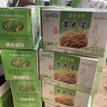 黄花菜中国西部黄花菜西北黄花菜