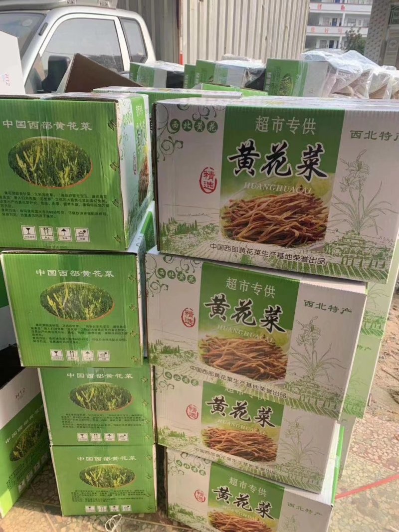 黄花菜中国西部黄花菜西北黄花菜