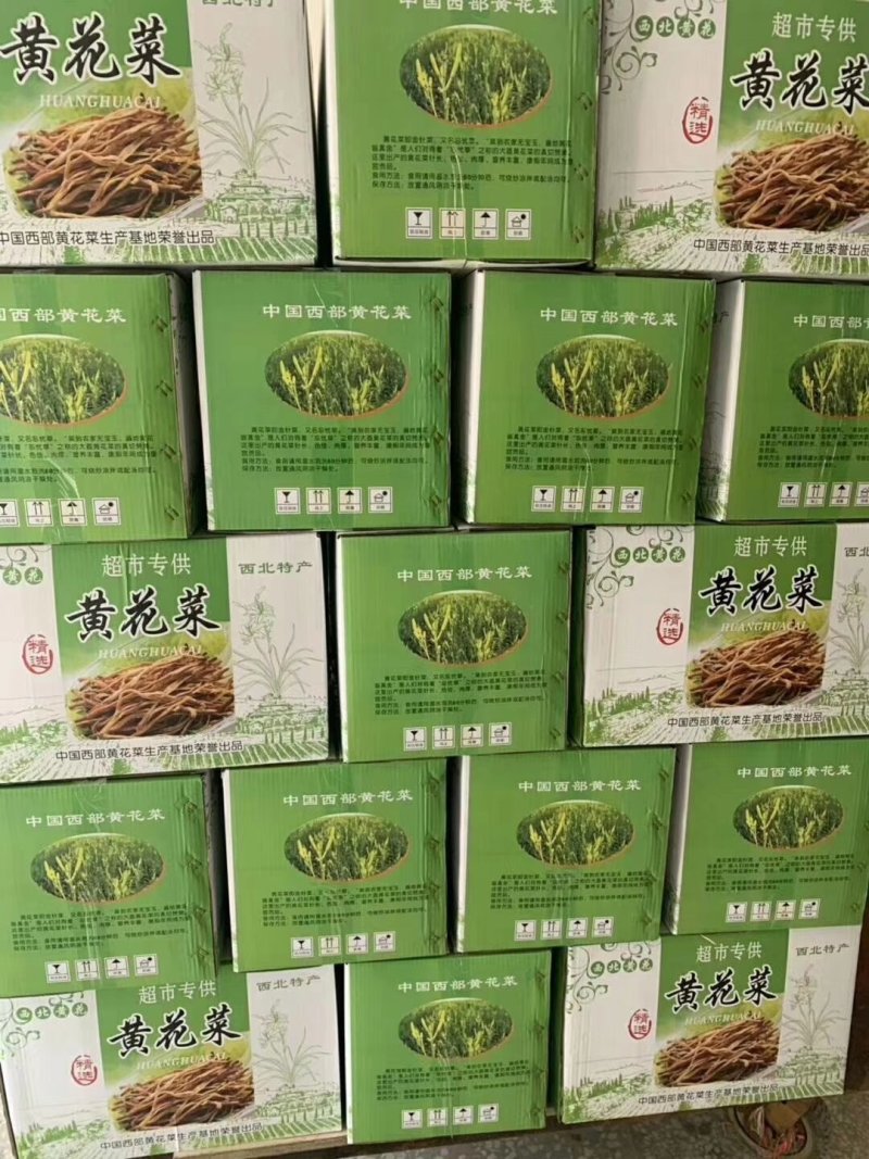 黄花菜中国西部黄花菜西北黄花菜