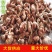竹黄竹花正品专营中药批发