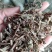 马鞭草片野生：货零售批：发一手货源个片欢迎合作
