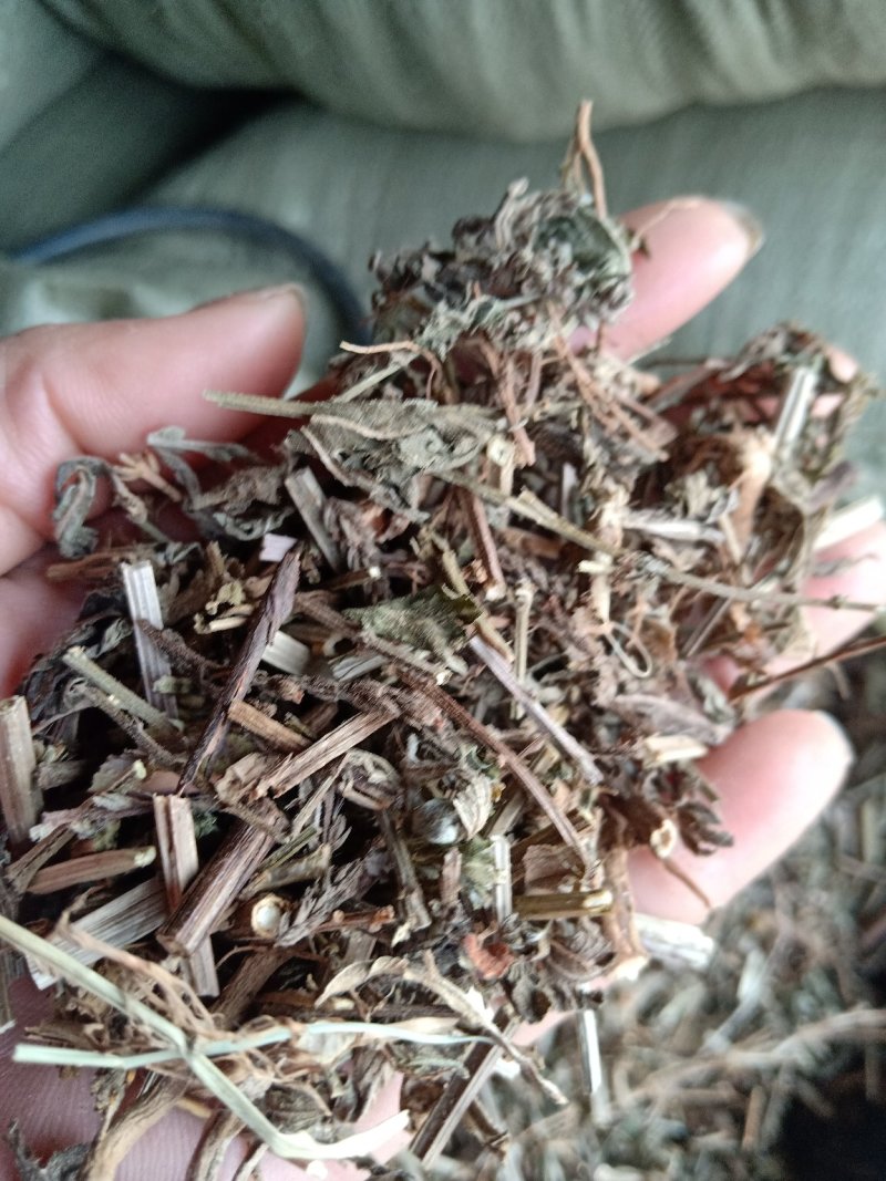 马鞭草片野生：货零售批：发一手货源个片欢迎合作