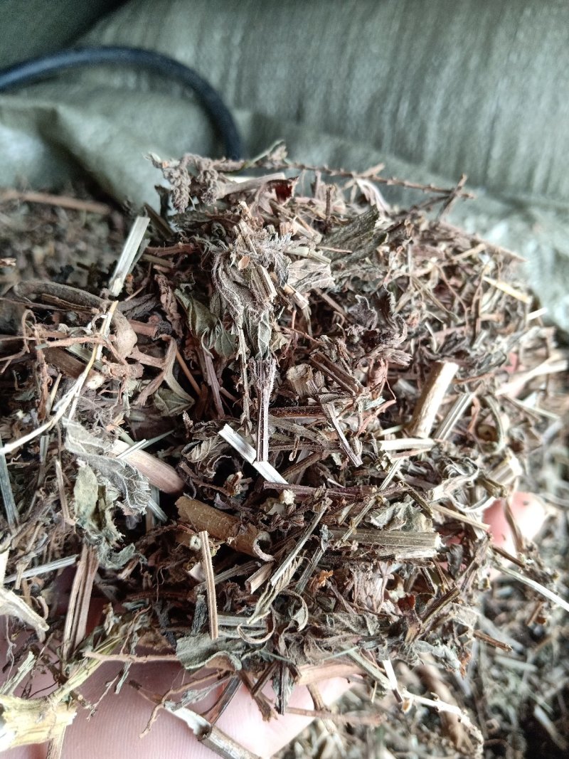 马鞭草片野生：货零售批：发一手货源个片欢迎合作