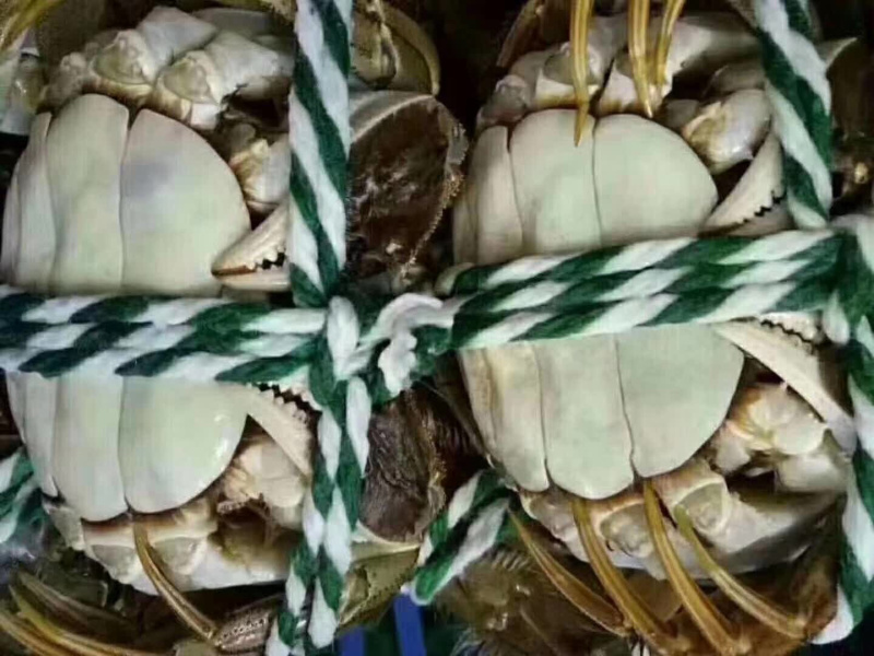 精品螃蟹