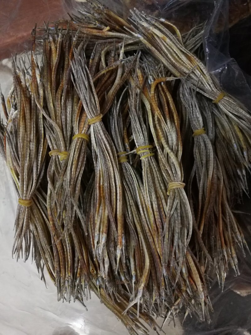 海龙小海龙可泡酒可煲汤包邮