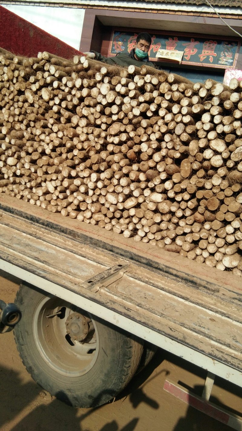 商品山药