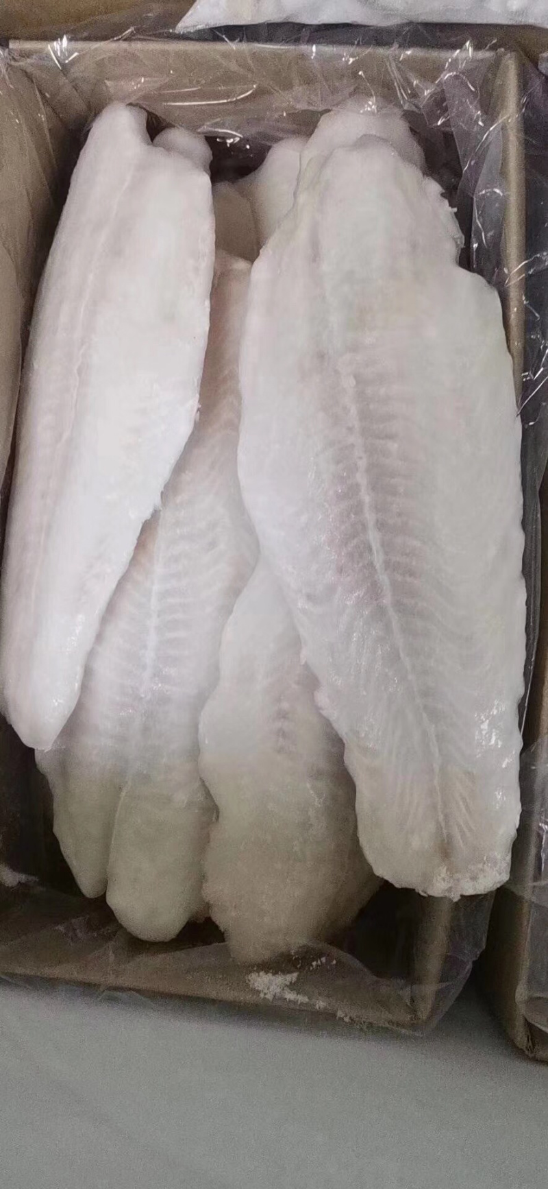 巴沙鱼
