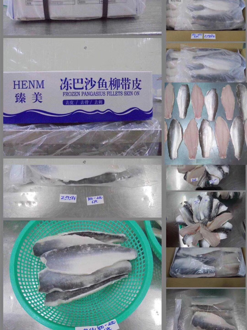 巴沙鱼