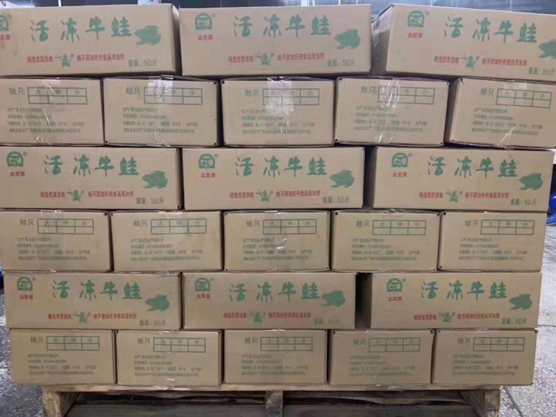 牛蛙，大量发货，厂家直销