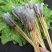 冷冻凤尾虾仁串1000串虾子串网红串串铁板烧烤油炸串海鲜