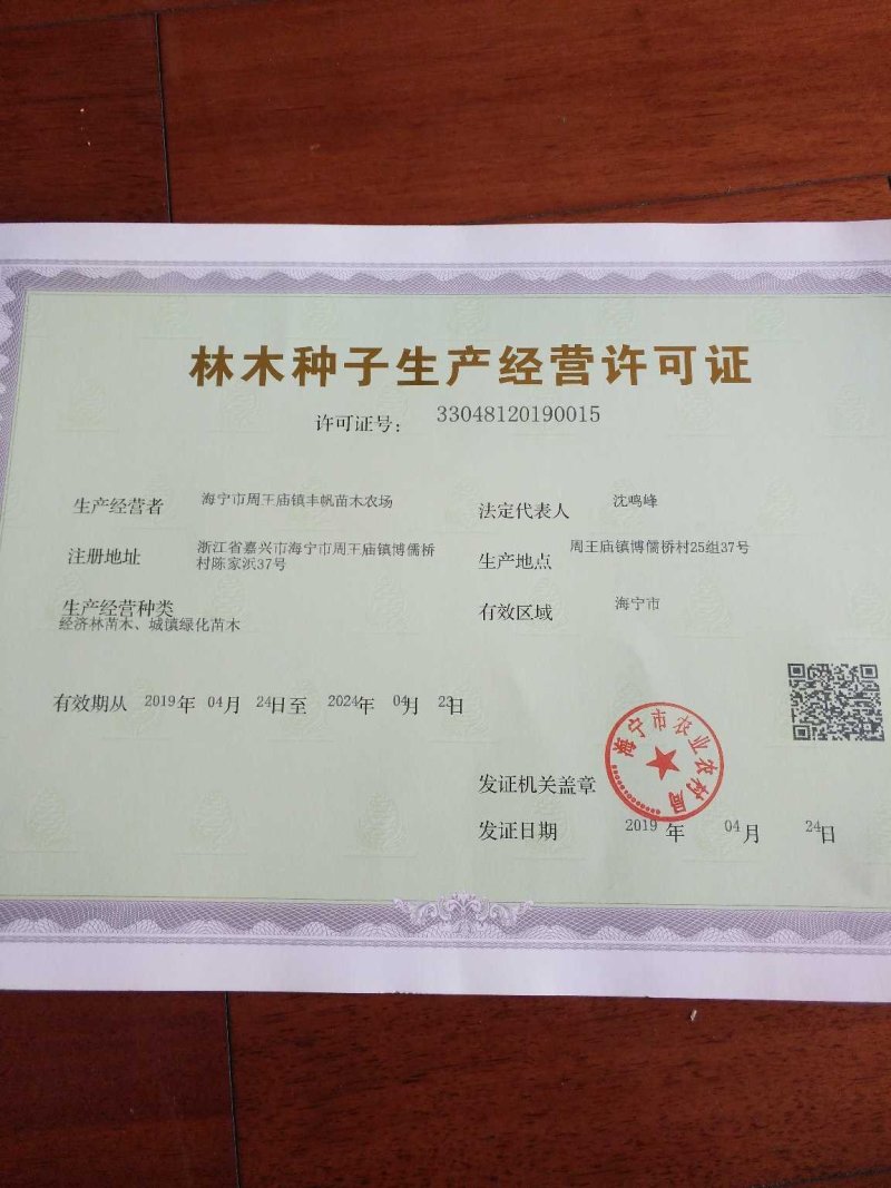 红叶紫薇（地径4到12公分基地直供现挖发货）