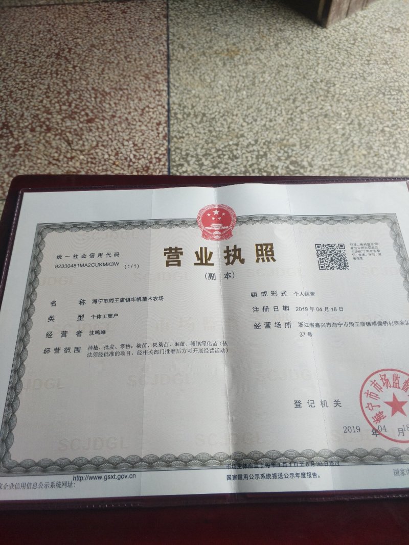 红叶紫薇（地径4到12公分基地直供现挖发货）