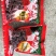 野生正红菇干品，红菌干货，一斤一包