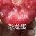 恐龙蛋李子苗口感好,红肉李子苗南北方均可种植