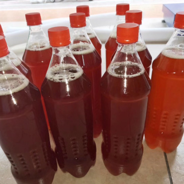 客家火灸娘酒黄酒大埔娘酒