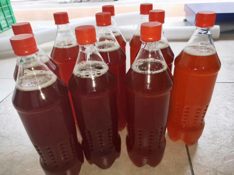 客家火灸娘酒黄酒大埔娘酒