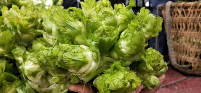 精品儿菜，基地直发，量大从优。