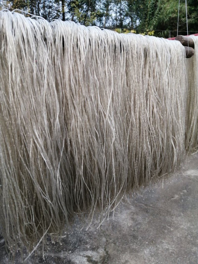 四川厂家大量批发红薯粉条，量大从优，品种保证
