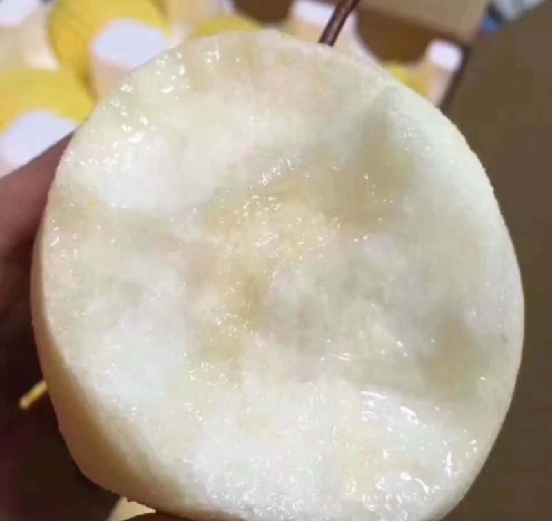 山西酥梨贡梨因独特的天气条件，有着核小渣少