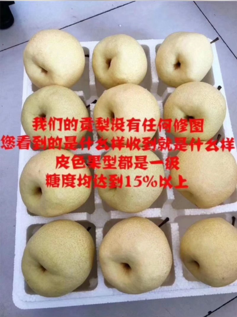 山西酥梨贡梨因独特的天气条件，有着核小渣少