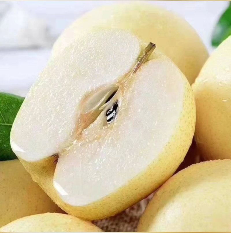 贡梨也叫酥梨，有的地方叫蜜梨，大量有货欢迎个大客商商超来