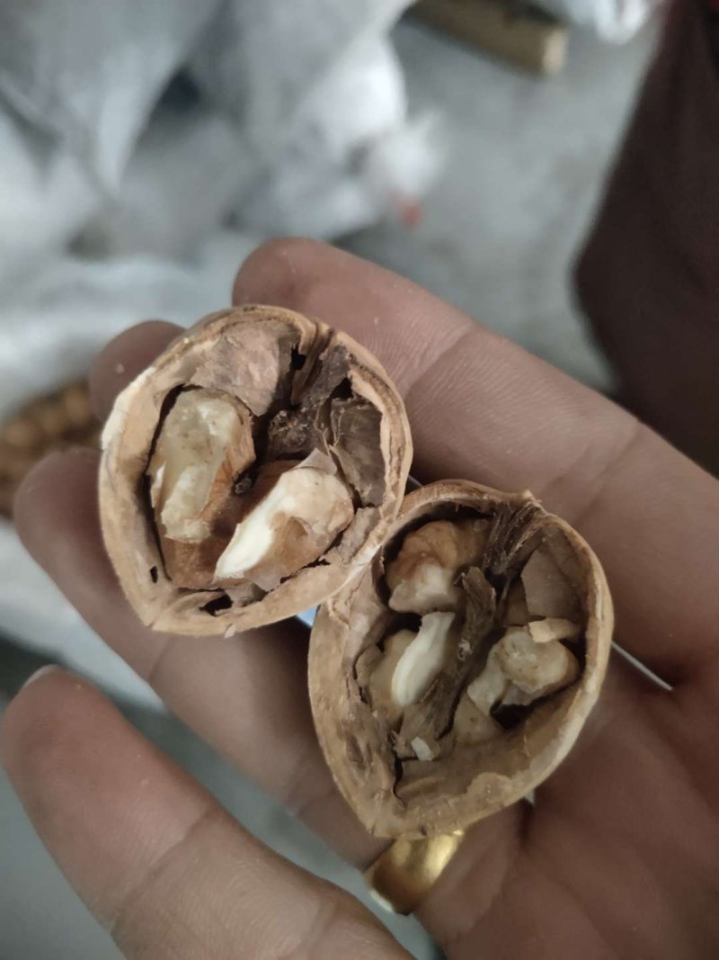 美国果奶油核桃临安加工熟的。