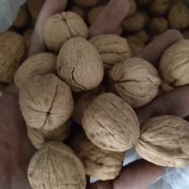 美国果奶油核桃临安加工熟的。