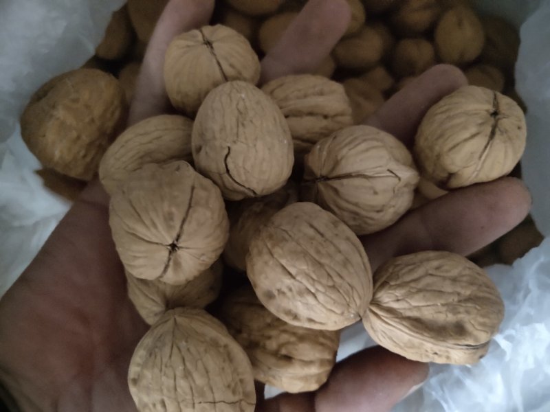 美国果奶油核桃临安加工熟的。