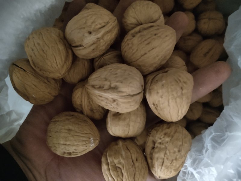 美国果奶油核桃临安加工熟的。