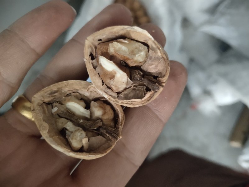 美国果奶油核桃临安加工熟的。