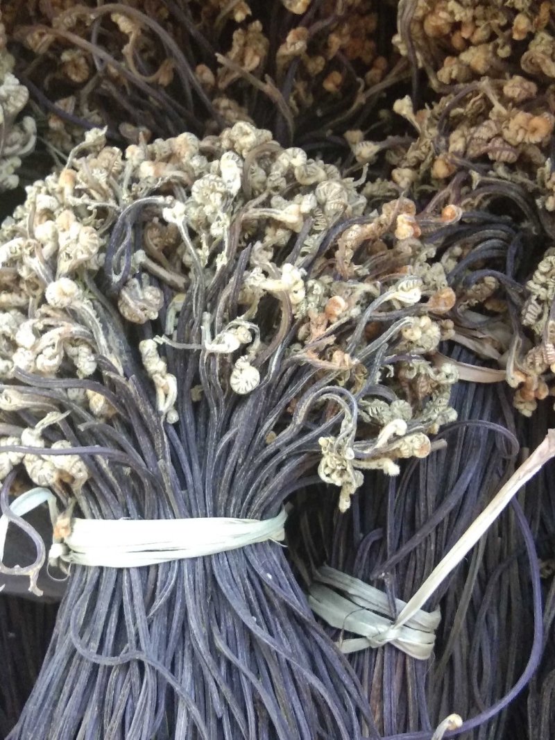 蕨菜干，优质野生干蕨菜，把菜，长期有货批发，共利共赢