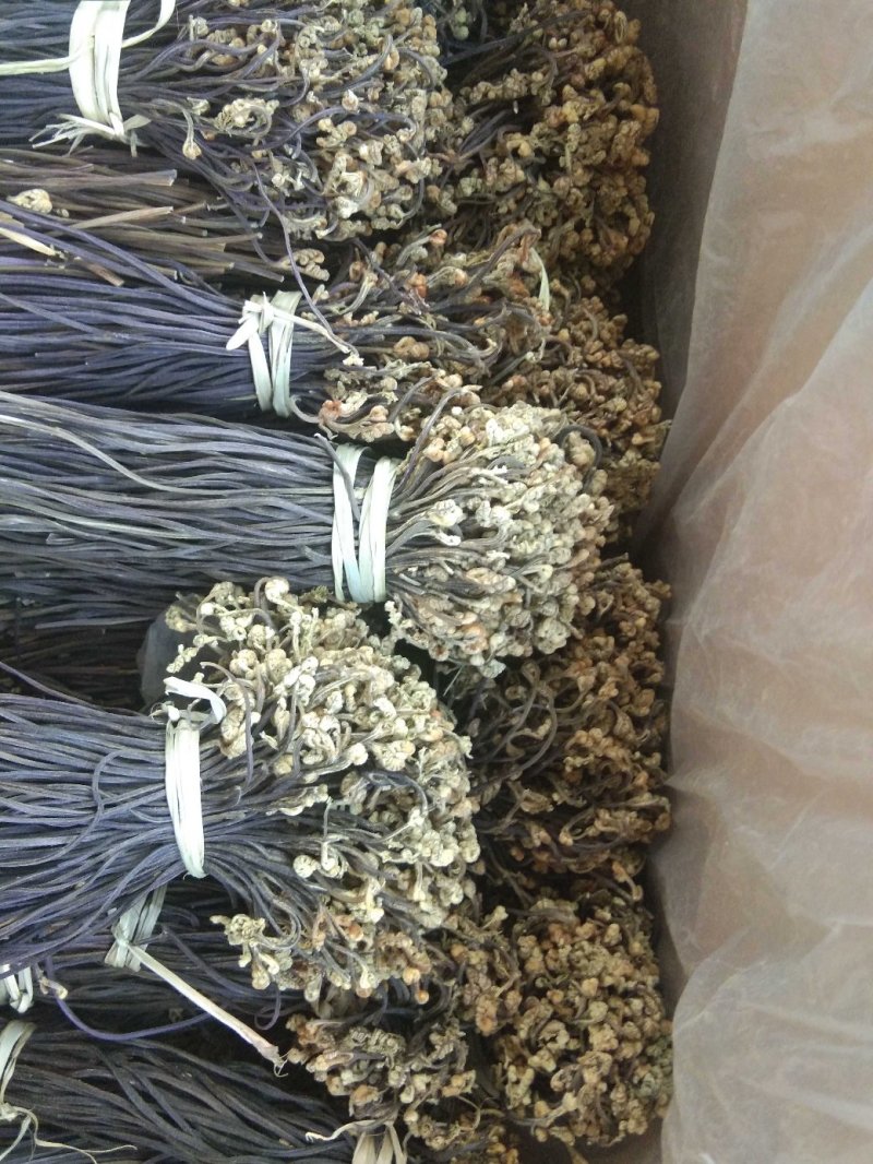 蕨菜干，优质野生干蕨菜，把菜，长期有货批发，共利共赢
