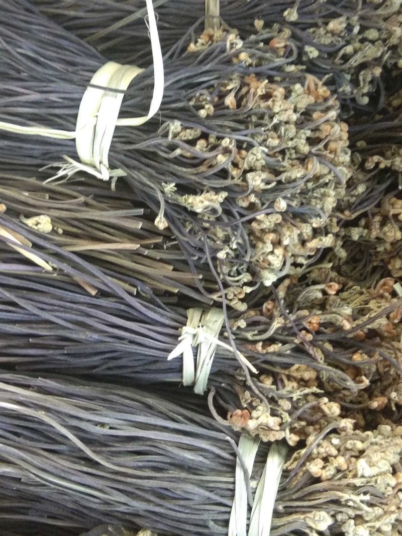 蕨菜干，优质野生干蕨菜，把菜，长期有货批发，共利共赢