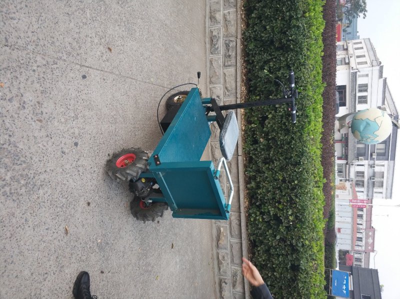 电动平板运输车拉货搬运车蔬菜大棚超市工地运输车可定制