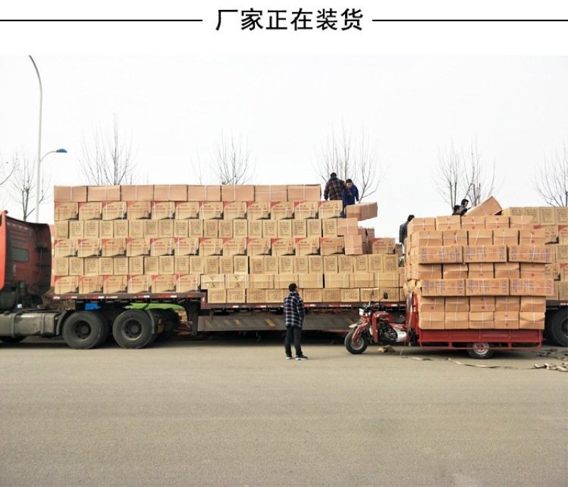 背负式电动喷雾器18L/20升送风筒电动打药防疫消毒机