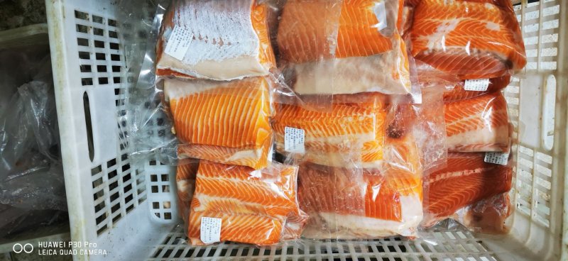 三文鱼，三文鱼净肉，三文鱼柳