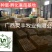 大种杂交四点麻鸭苗《高销量热卖》包运输成活厂家直销