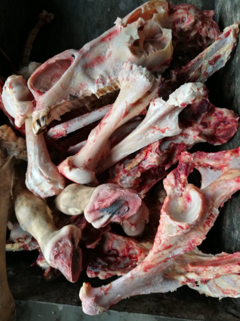 临近春节，驴肉大量供应，生鲜驴肉，酱熟驴肉，量大从优