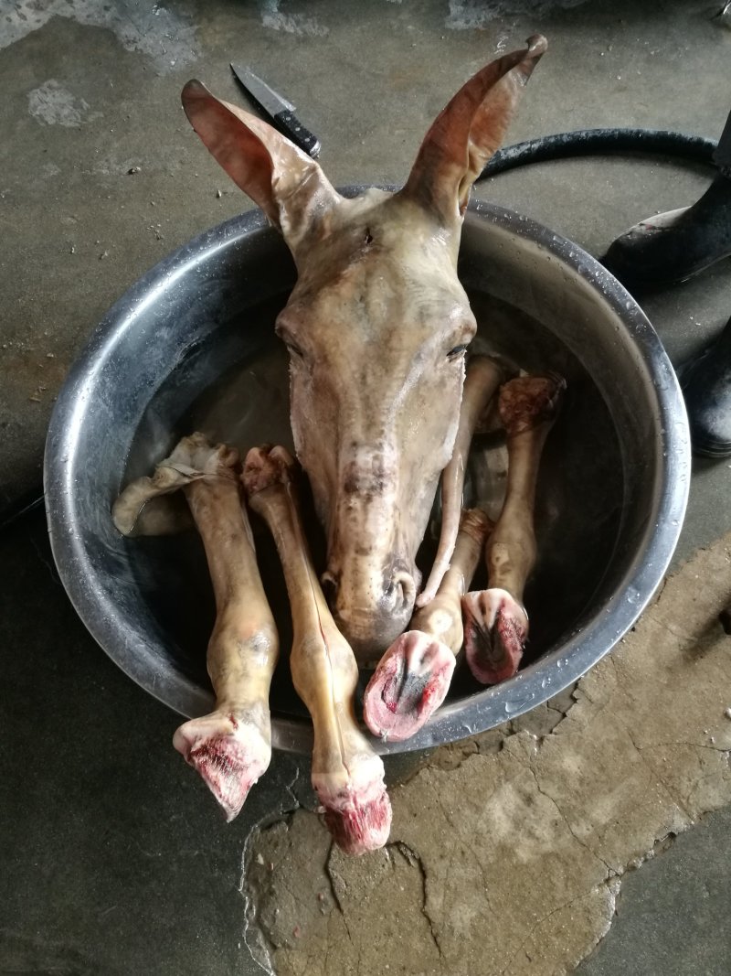 临近春节，驴肉大量供应，生鲜驴肉，酱熟驴肉，量大从优
