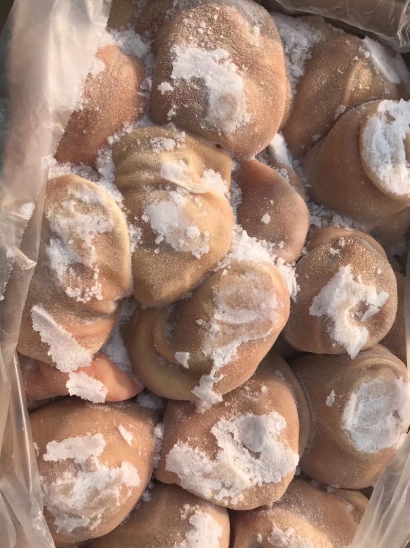 精品羊肚，新西兰羊肚，六七成熟，干净无杂质，常年供应