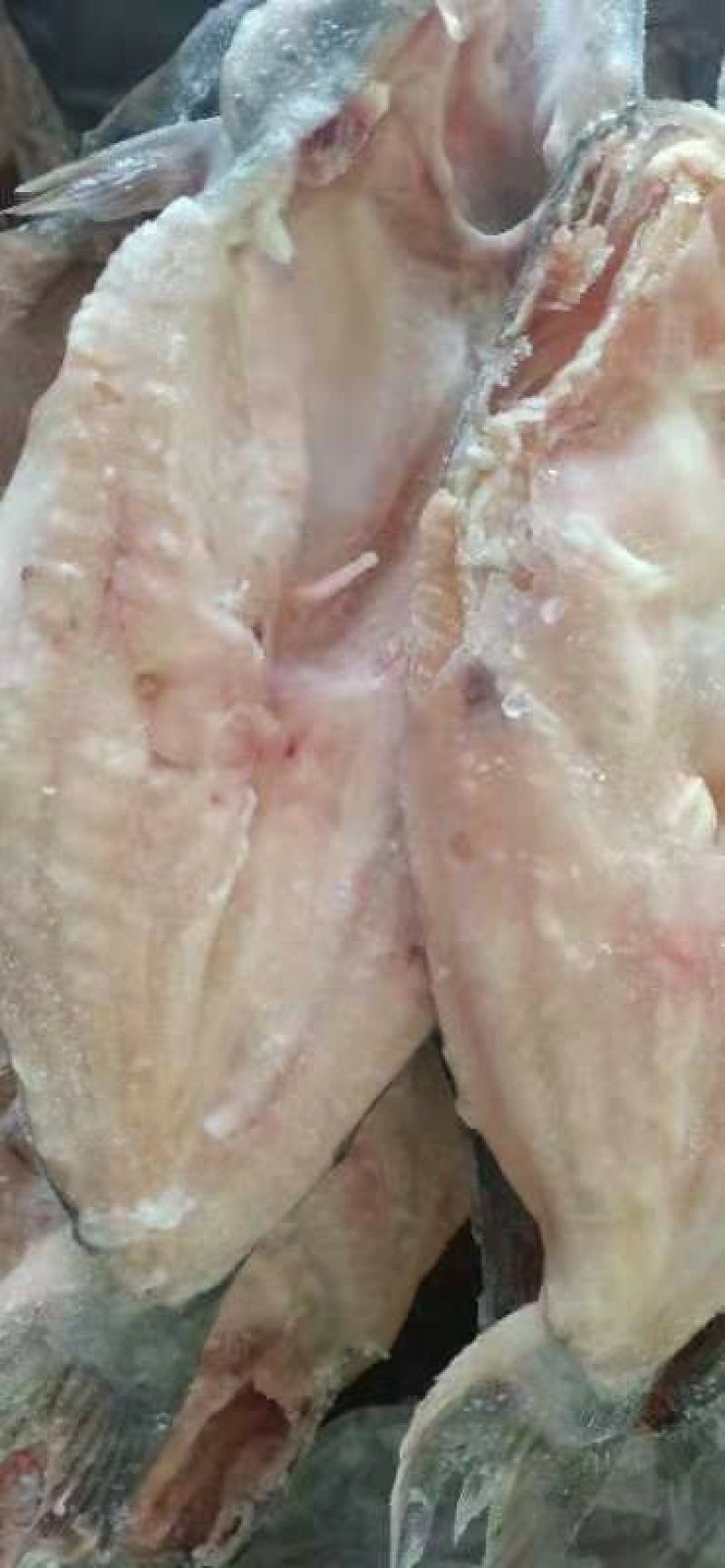 【有好货】巴沙鱼开背鱼巴沙鱼片