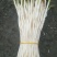 鱼腥草鱼腥草嫩芽折耳芽折耳根折耳根嫩芽